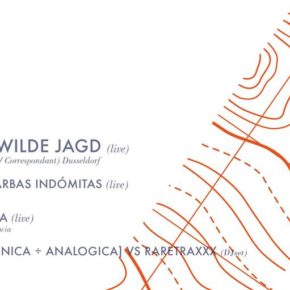 Die Wilde Jagd / Abstract trips Vol. III