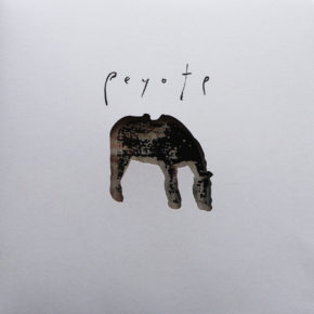 B​.​F​.​E​.​56 - O YUKI CONJUGATE "Peyote" LP (Sold Out)
